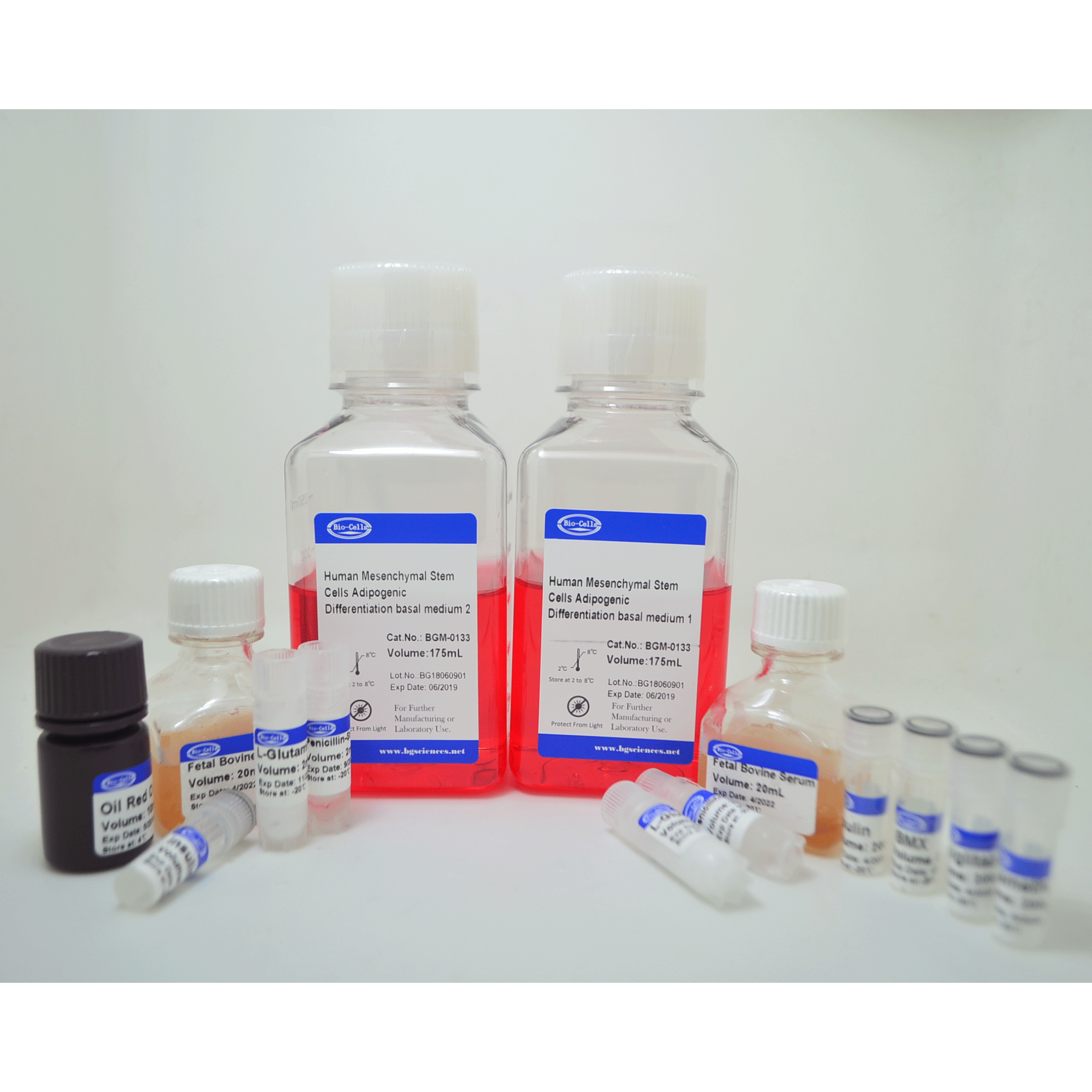 间充质干细胞成脂诱导分化培养基