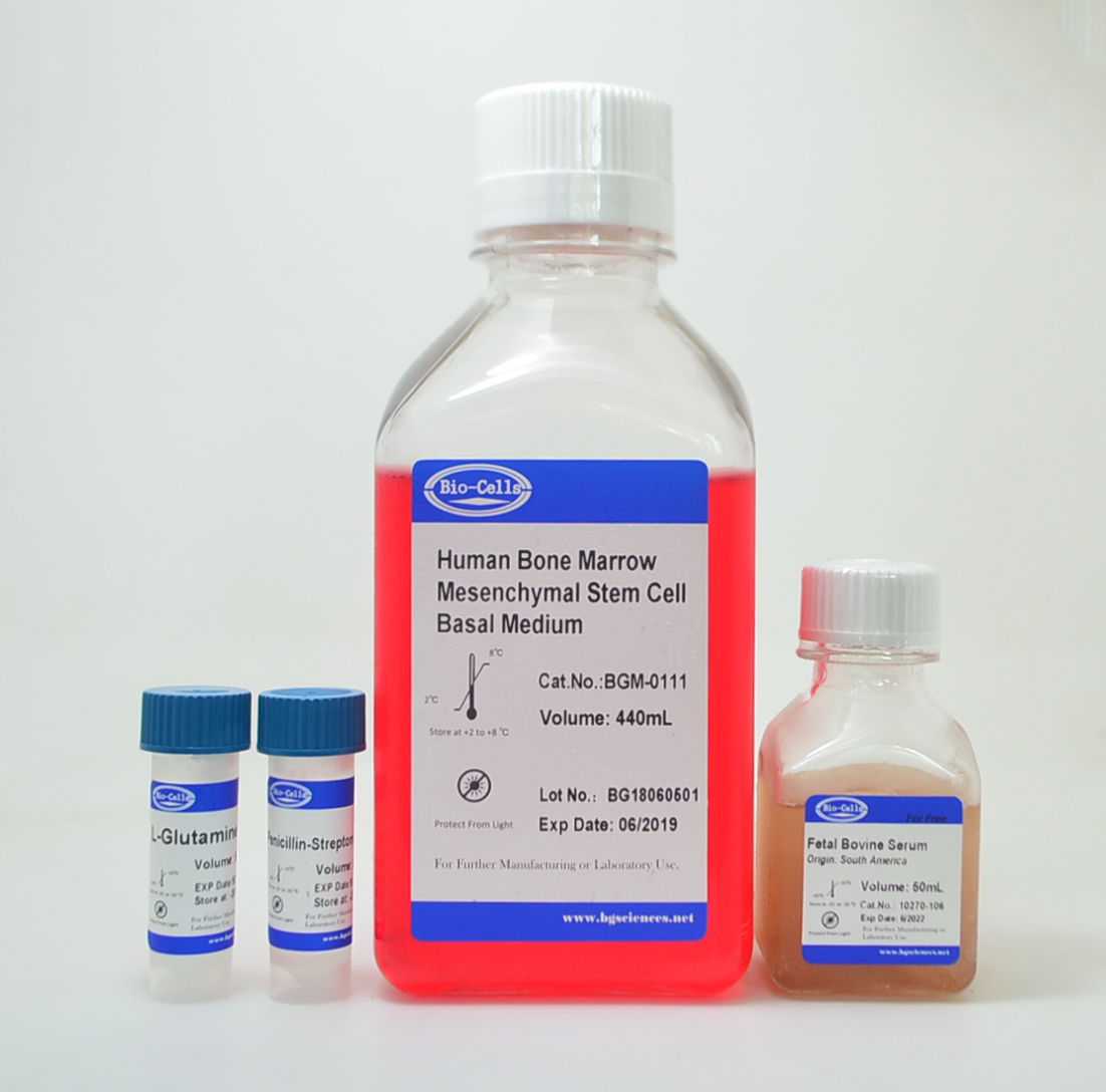 间充质干细胞完全培养基